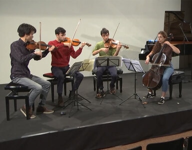 Photo of content String Quartet No. 14, 1st movement de Franz Schubert