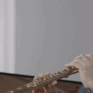Flute Concerto No. 1 in G major, K. 313