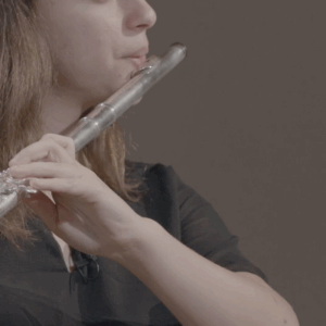 Flute Concerto in D major